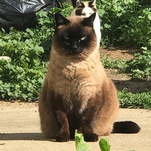 Meet your Posher, Sally